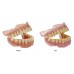 Kulzer DIMA Print Resin - Denture Base 1000g - Shade Options Available